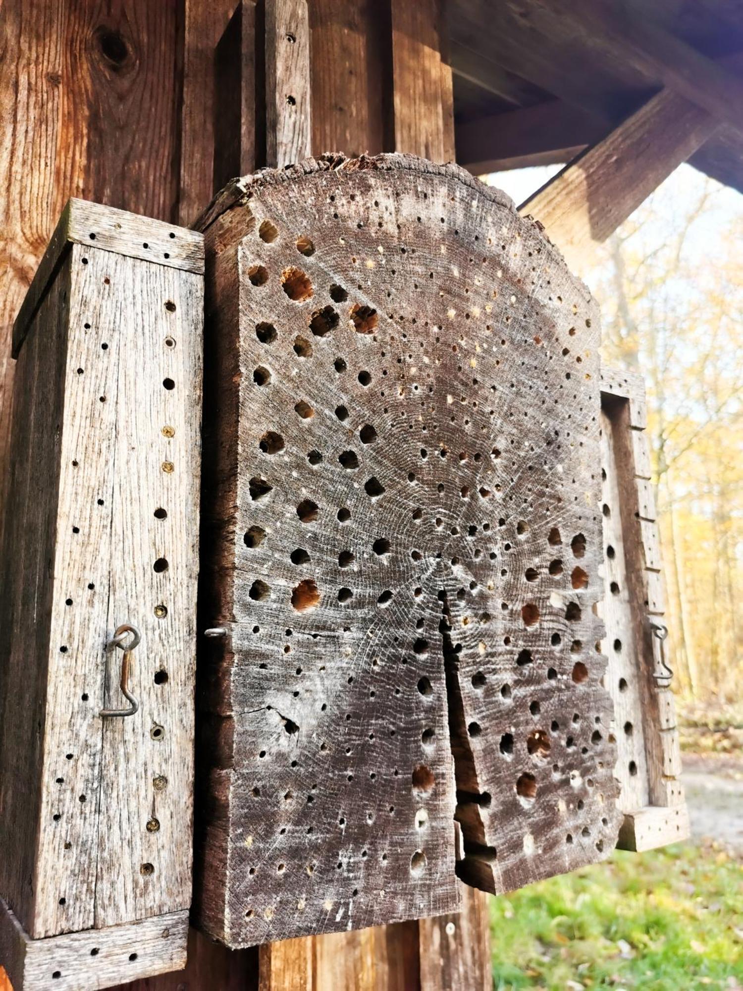 Loewenstern * Niederstetten