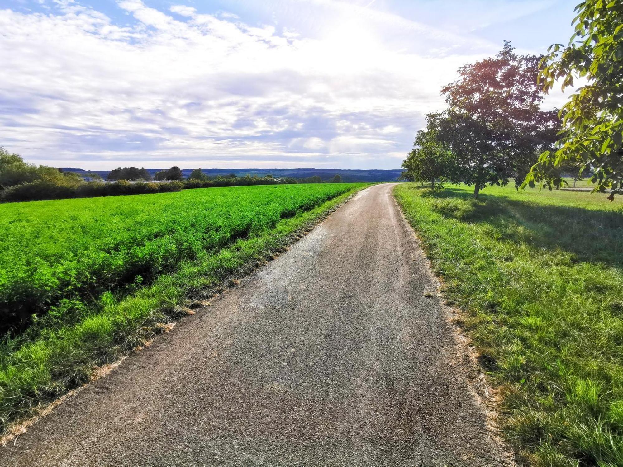 Loewenstern * Niederstetten